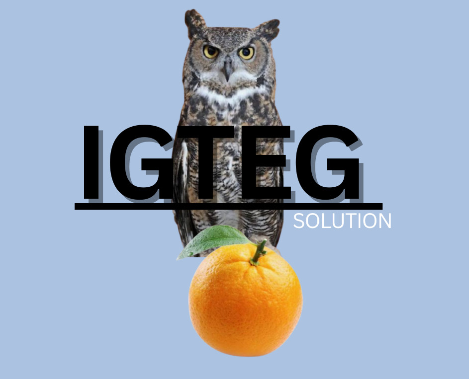igteg solution llc